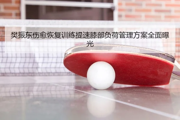 樊振东伤愈恢复训练提速膝部负荷管理方案全面曝光