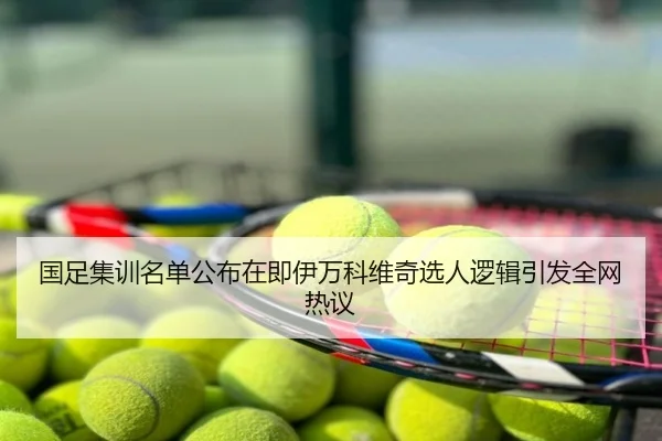 国足集训名单公布在即伊万科维奇选人逻辑引发全网热议
