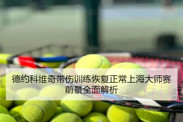 德约科维奇带伤训练恢复正常上海大师赛前景全面解析